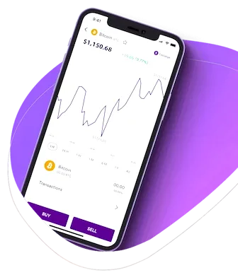 Qarfina financial analysis