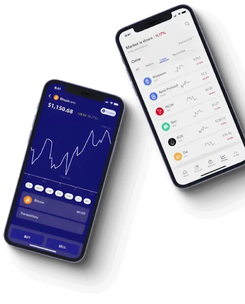 Qarfina market insights
